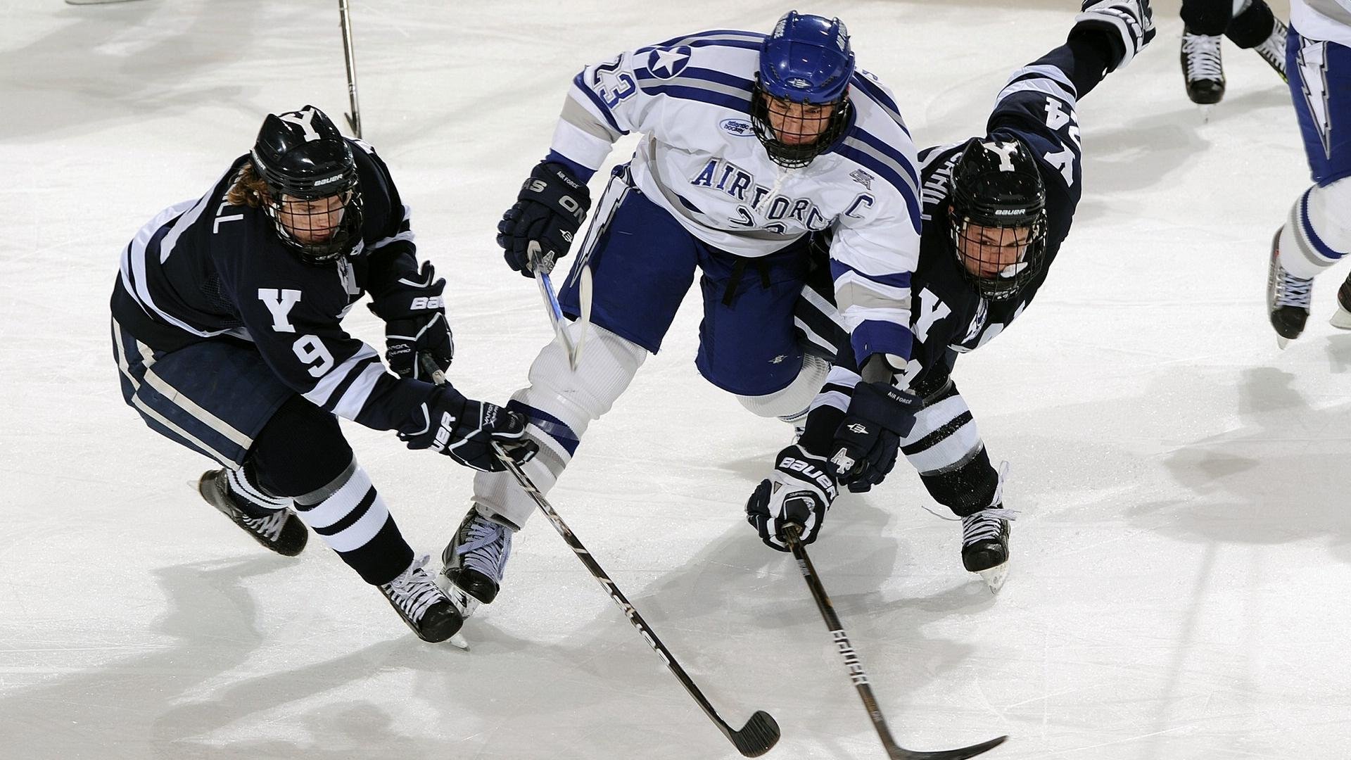 体育教育与职业发展结合,培养更多业界人才,体育教育对职业院校的意义